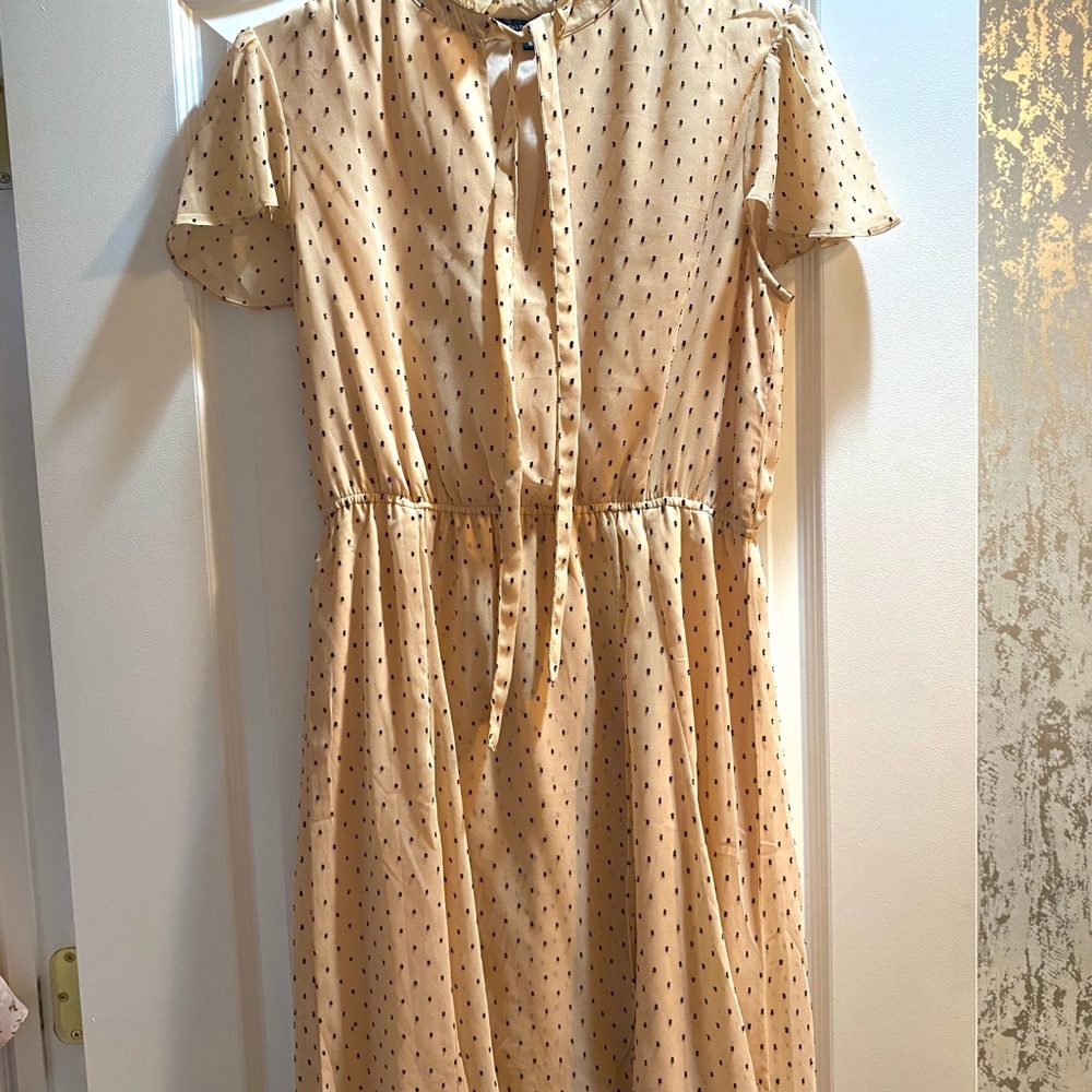 Walter Baker Peach Polka Dot Knee Length Dress
